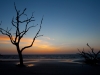 Early Sunrise on Jekyll Island