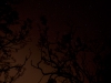 Night Sky