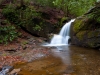 Raven Cliff Falls Trail Georgia