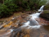 Raven Cliff Falls Trail Georgia